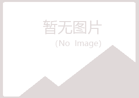 临沂兰山忆伤能源有限公司